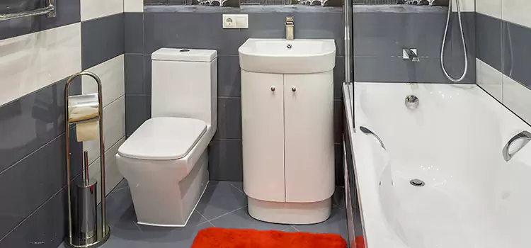 Hansgrohe Shaving Mirror Kirkland