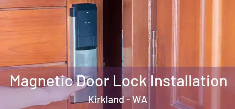  Magnetic Door Lock Installation Kirkland - WA