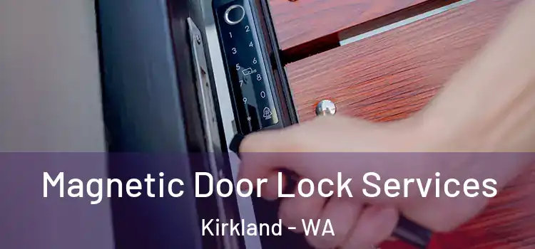  Magnetic Door Lock Services Kirkland - WA