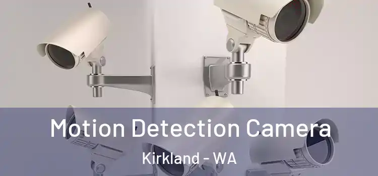  Motion Detection Camera Kirkland - WA